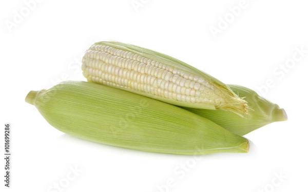 Fototapeta uncooked white corn wil leaf on white background