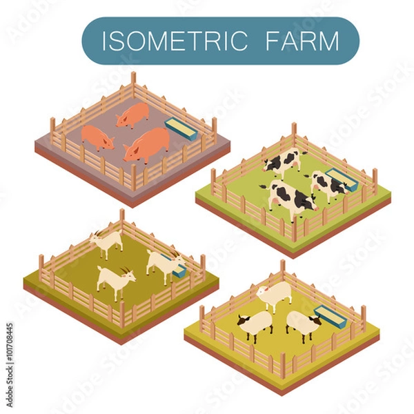 Fototapeta Isometric farm animals set
