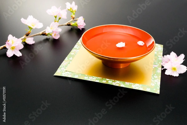 Obraz さかずき　桜　黒バック