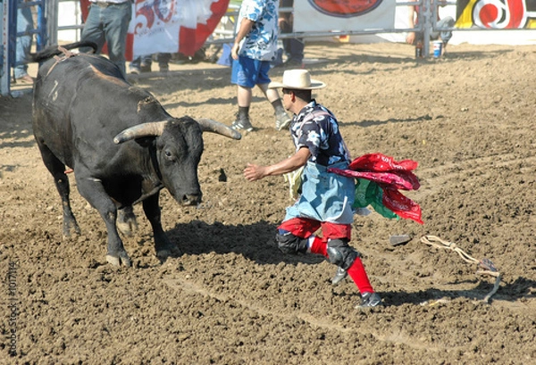 Obraz bull chasing rodeo clown