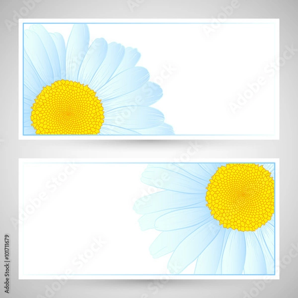 Fototapeta Vector daisies design.
