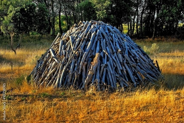 Obraz PN Doñana Carbonero