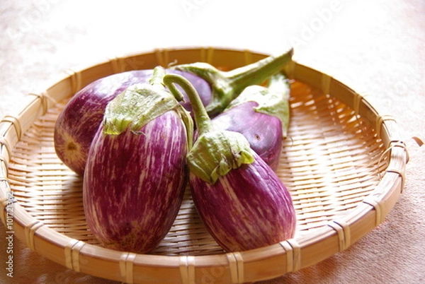 Obraz 収穫したばかりのなす / Home cooked 