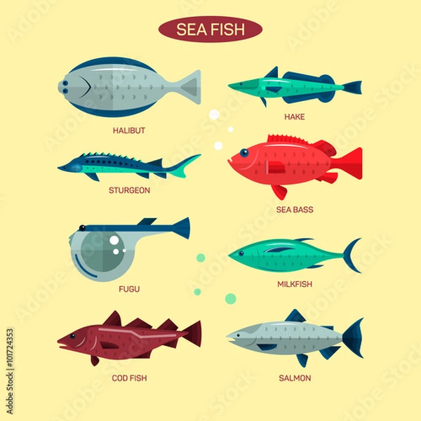 Obraz Fish vector set in flat style design. Ocean, sea and river fishes icons collection. Salmon, fugu, bass, sturgeon