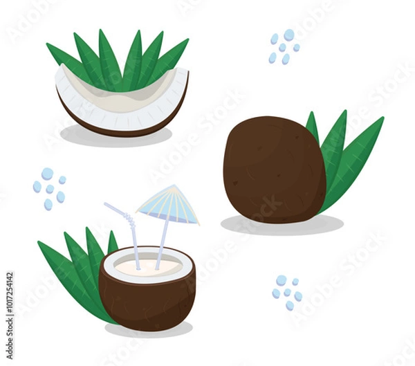 Obraz Coconut pieces with leaves, whole palm nut and milkshake, juice cocktail, vector colorful illustration