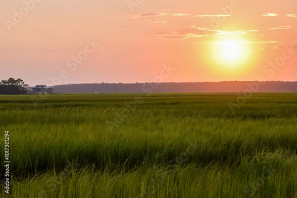 Obraz Sunset over a coastal marsh