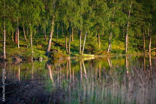 Obraz Serene lake evening 