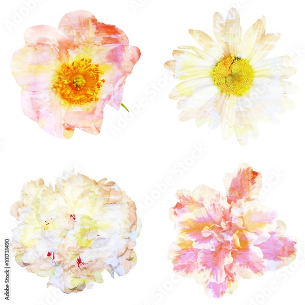 Obraz Watercolor painting with abstract flowers rose hips, chamomile,