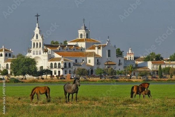 Obraz PN Doñana aldea El rocio