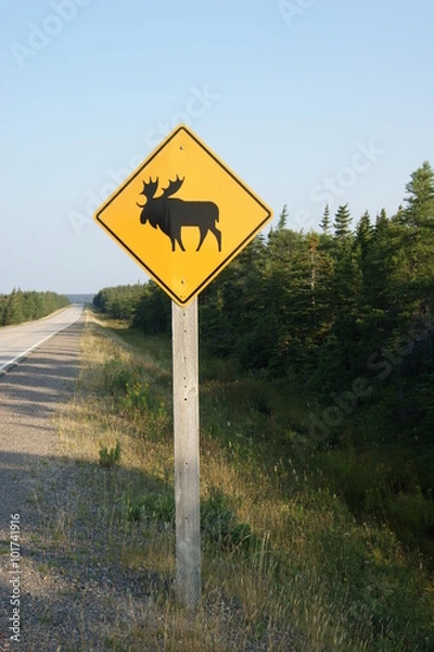 Obraz panneau caribou