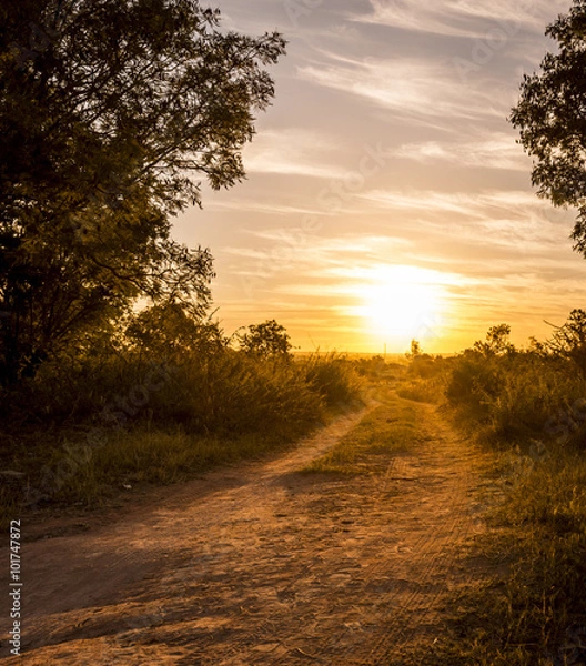 Fototapeta Road In Botswana