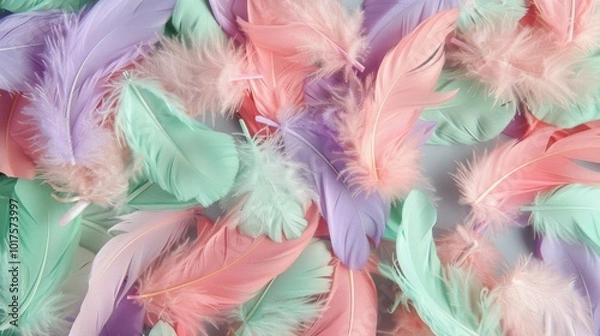 Obraz Colorful Feathers in Pastel Shades for Decoration