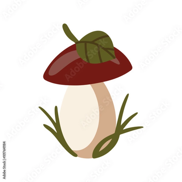 Fototapeta Vector isolated element. An edible mushroom. White mushroom. Birch mushroom. Autumn time. Color image on a white background. The print is used for packaging design.