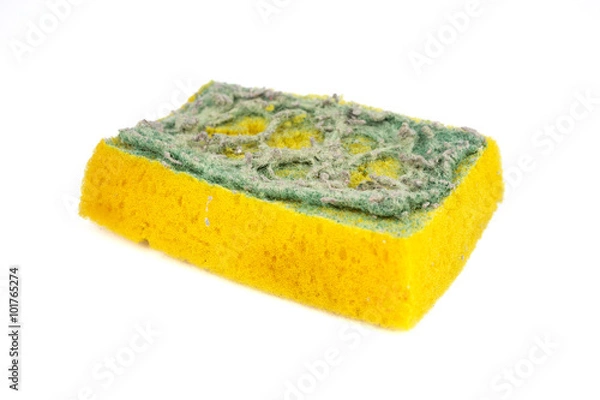 Obraz Used sponge for cleaning