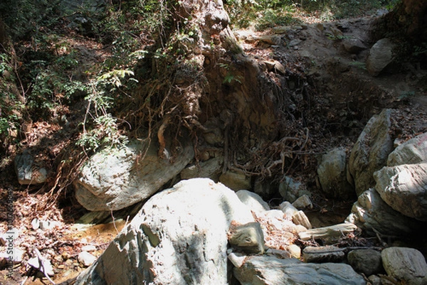 Fototapeta The path of the centaurs (after Cyclone Daniel) Portaria Pelion Greece
