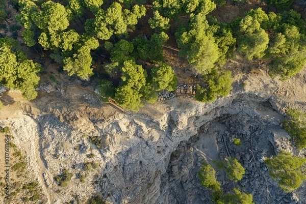 Fototapeta Aerial view of rocky cliffside surrounded by dense green pine trees at golden hour