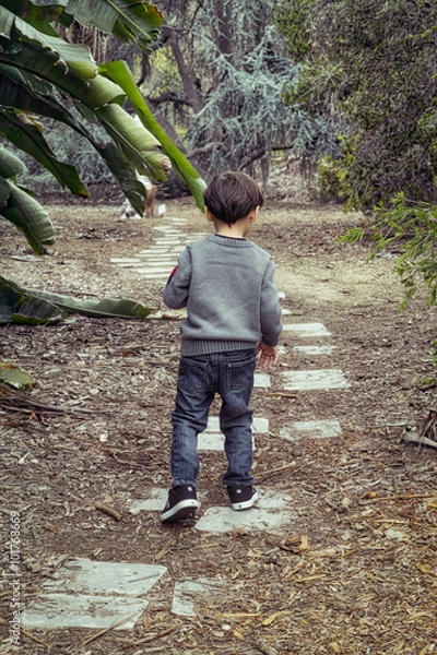 Obraz Boy Walking Away Along Path