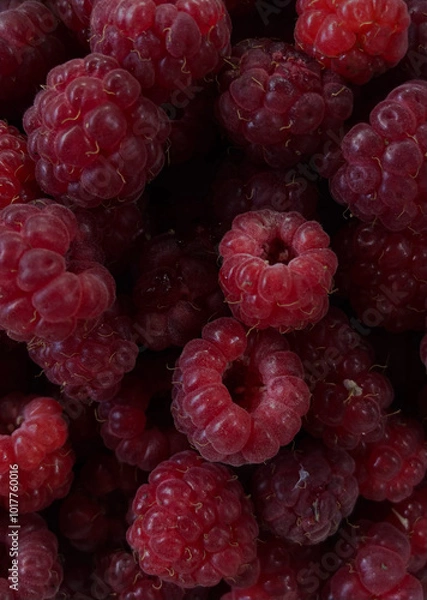 Obraz Raspberry berries

