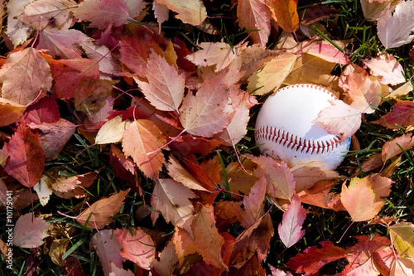 Obraz Baseball on fall leaves