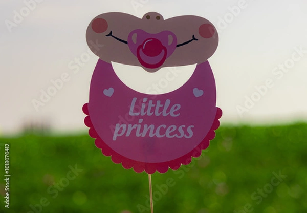 Fototapeta It's a boy and it's a girl baby written text announcement on the signboard . little princess and baby boy written text announcement on the signboard