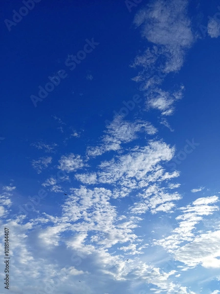 Fototapeta A serene sky, painted in shades of deep blue, is adorned with fluffy white clouds that drift gracefully across the expanse. The scene evokes feelings of peace and tranquility.
