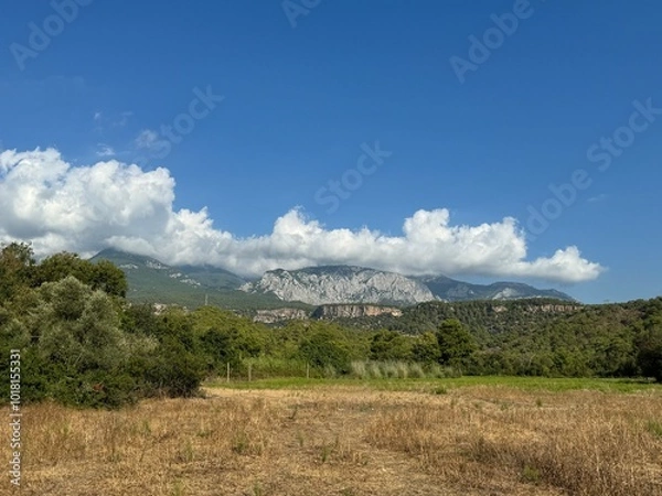 Fototapeta landscape with clouds
