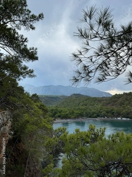 Fototapeta view of the sea