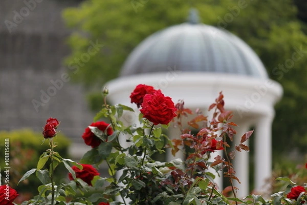 Obraz 横須賀ヴェルニー公園