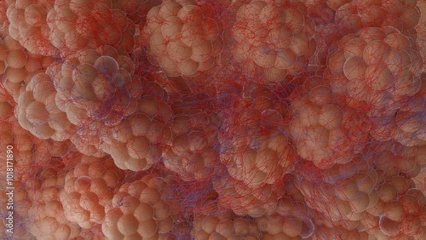 Fototapeta Lung structure with alveolar sacs, 3d render