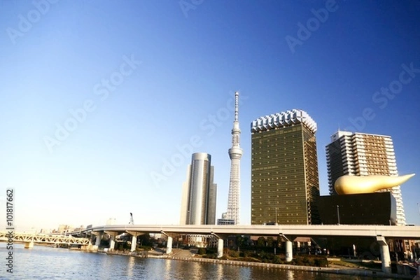 Obraz スカイツリーとビル群