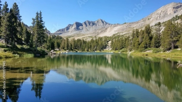 Fototapeta A calm green lake reflecting the surrounding trees and mountains on a clear, still day.