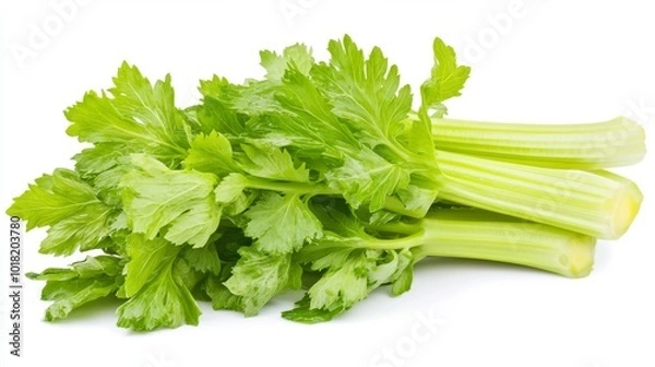 Fototapeta Celery stalks arranged on a white background, suitable for food photography or illustration