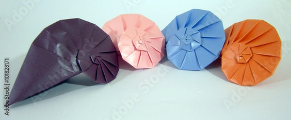 Fototapeta caracol 2