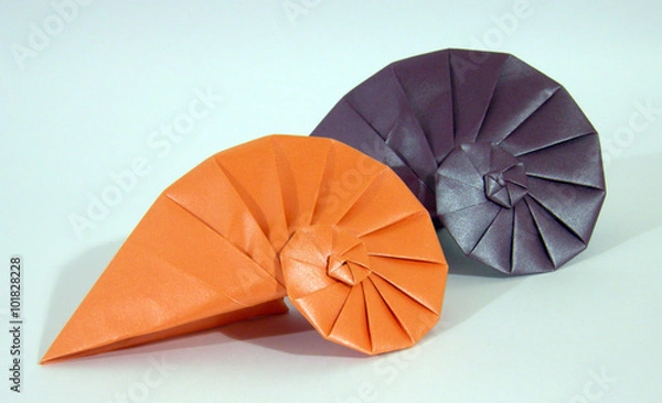 Fototapeta caracol 1