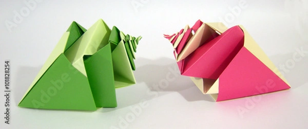 Fototapeta caracolas 2