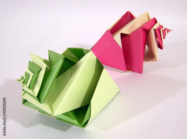 Fototapeta caracolas 1