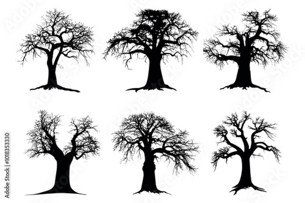 Obraz Black baobab tree silhouette Bundle vector design - silhouette set big pack of wild nature tree illustration
