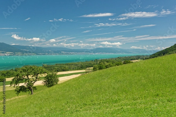 Obraz Lac de Neuchâtel