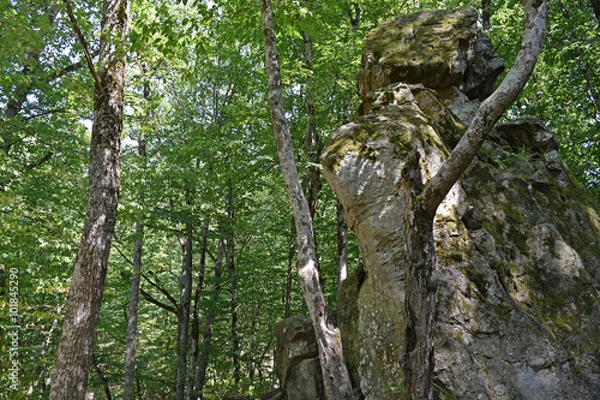 Obraz The devil's Finger