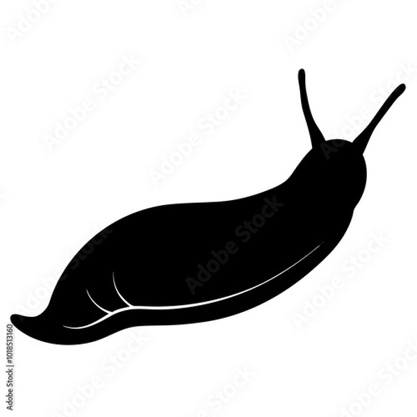 Obraz snail on a white background