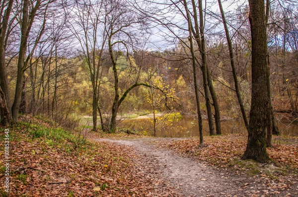 Obraz path in autumn forest