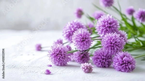Obraz Cluster of purple flowers on a white table, creating a simple yet elegant contrast