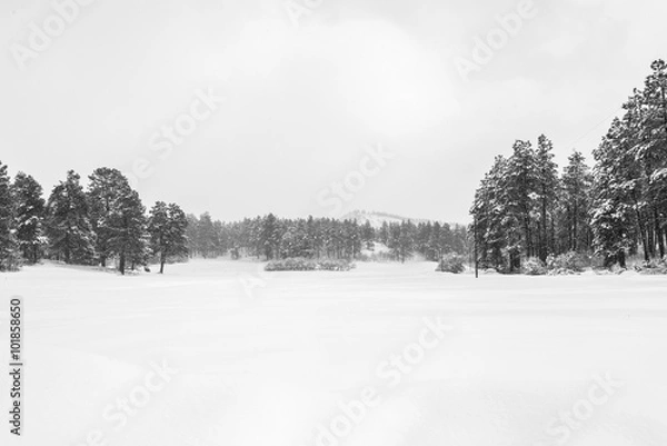 Obraz Mountain meadow covered by fresh snow in Bayfield, Colorado