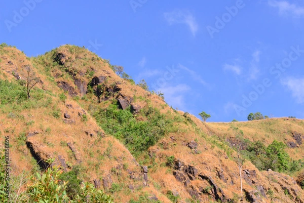 Fototapeta Beautiful tropical forest landscape in desertification area.