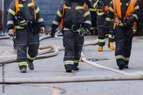Fototapeta Group of fire men in uniform during fire fighting operation in the city streets, firefighters with the fire engine truck vehicle in the background, emergency and rescue, fire drill, exercise training