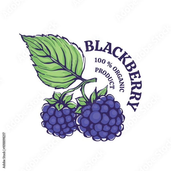 Obraz Vector color label of a blackberry product. Hand drawn line illustration with color