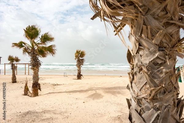 Fototapeta beach in winter