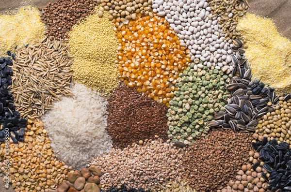 Obraz Cereal grains , seeds, beans