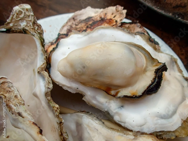 Obraz 都会のカキ小屋