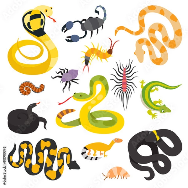 Fototapeta Vector flat snakes collection isolted on shite background